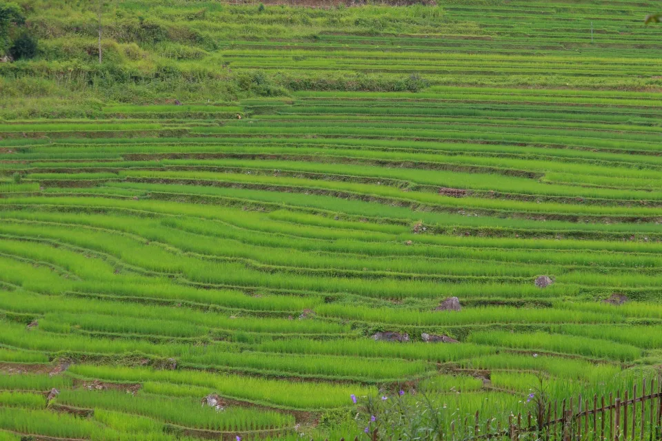 Kho gạo của Phan Thị Mỹ Lan